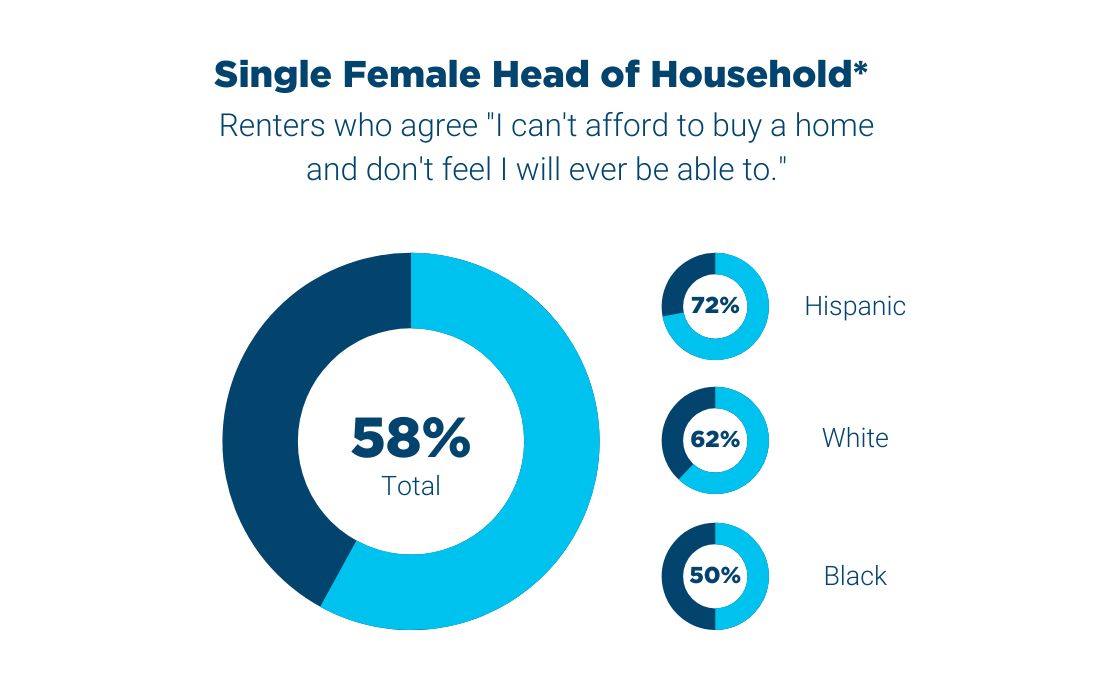 Graph - Single Female Head of Household